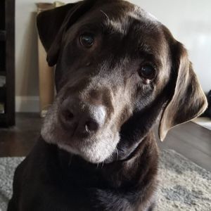 Meet your Posher, Alicia